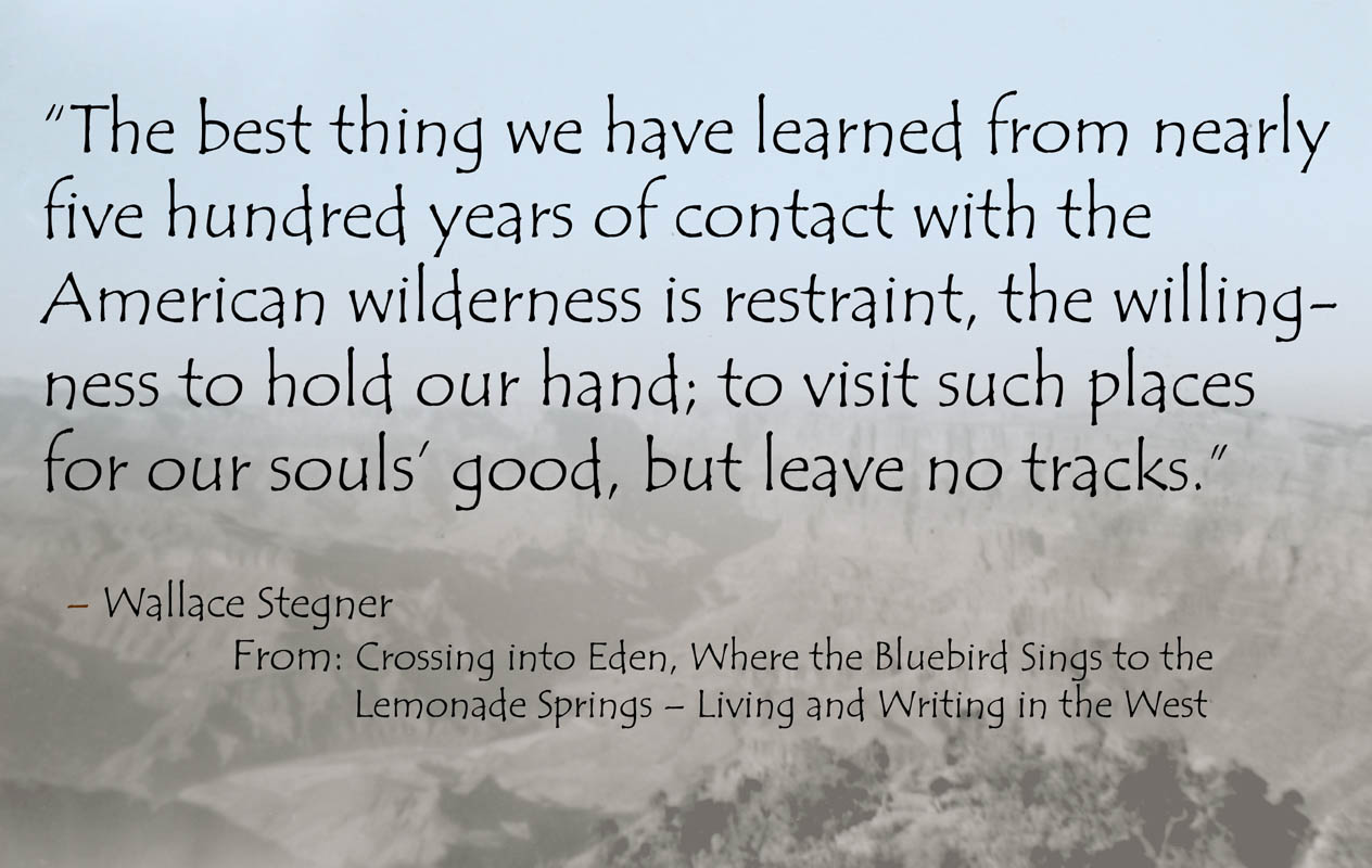 wilderness letter wallace stegner essay wilderness letter wallace stegner essay