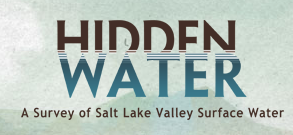 Hidden water logo