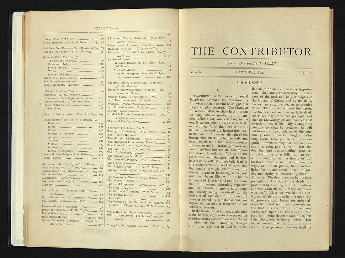 The Contributor