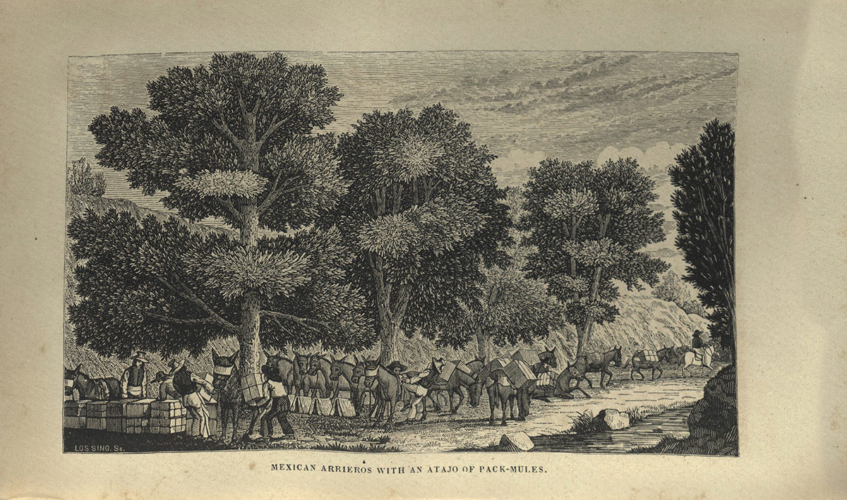 Commerce of the Prairies, engraving opposite page 182 "Arrieros"