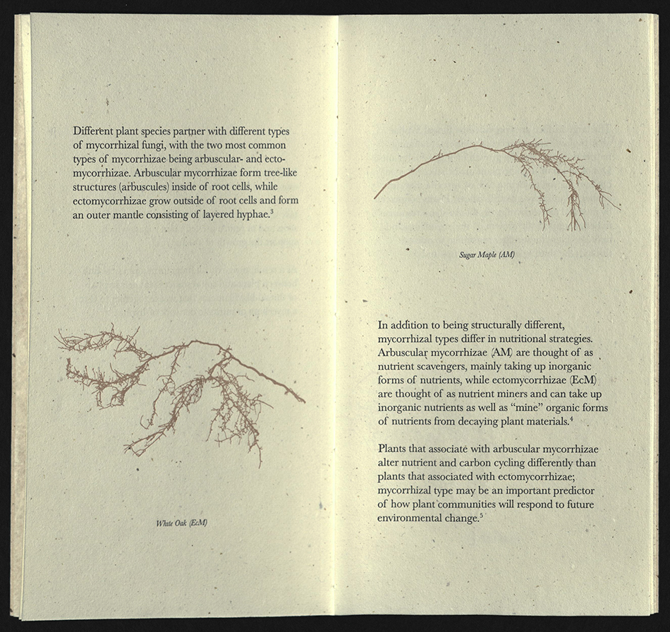 Mycorrhizae spread 2