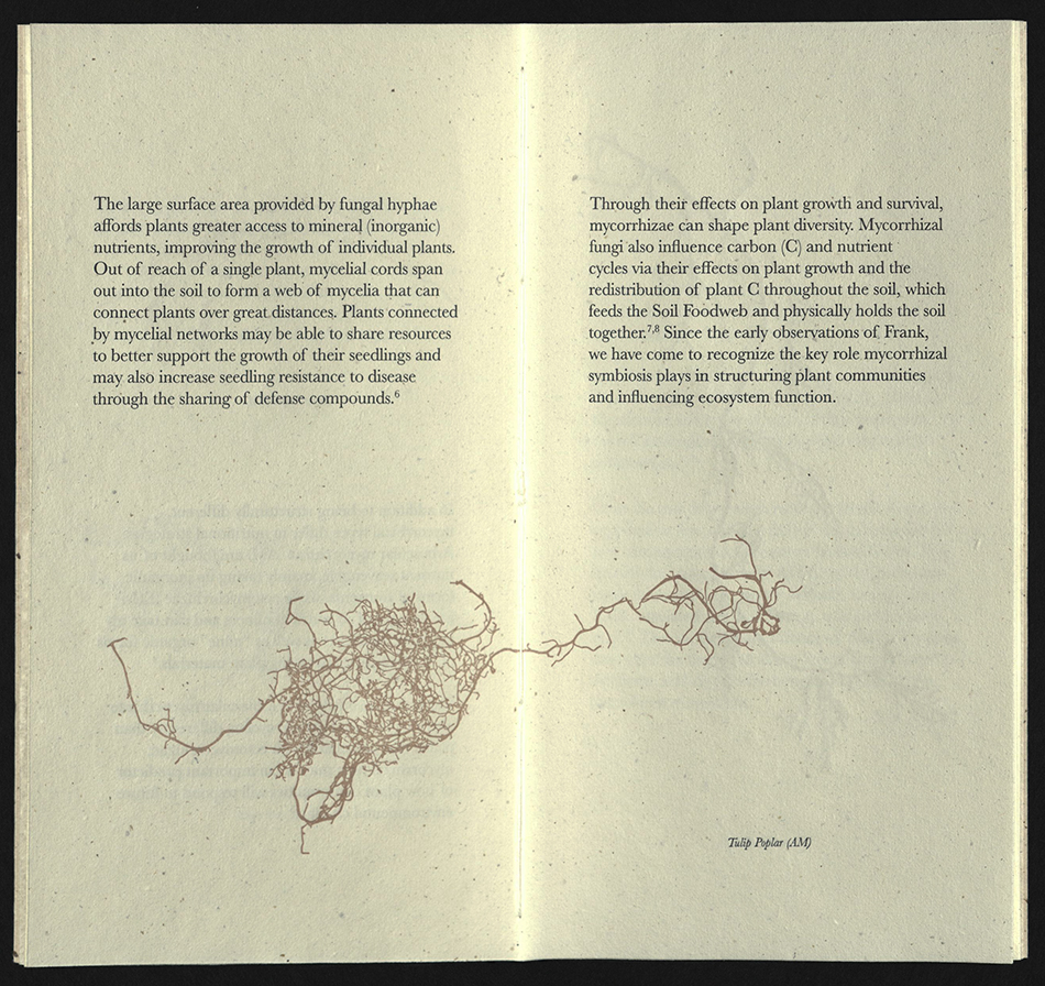 Mycorrhizae spread 3