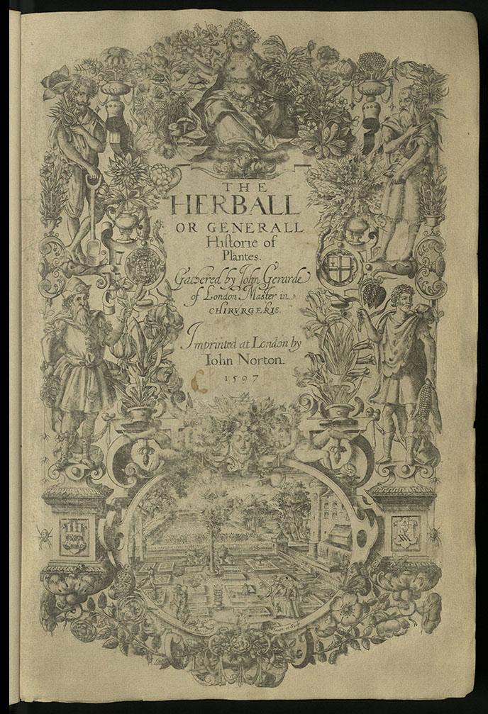 Gerard's 1597 Herbal