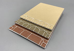 image of Japanese stab albums