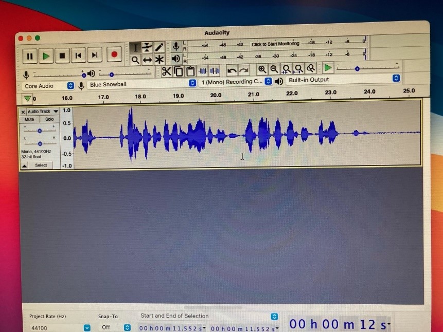 Audacity recording template