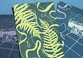image of cyanotypes