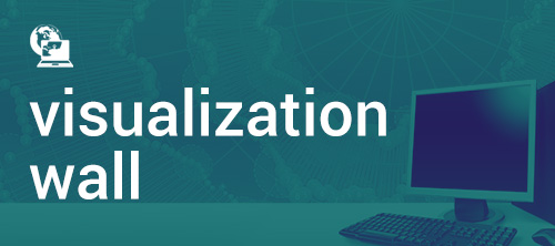 Data Visualization Wall