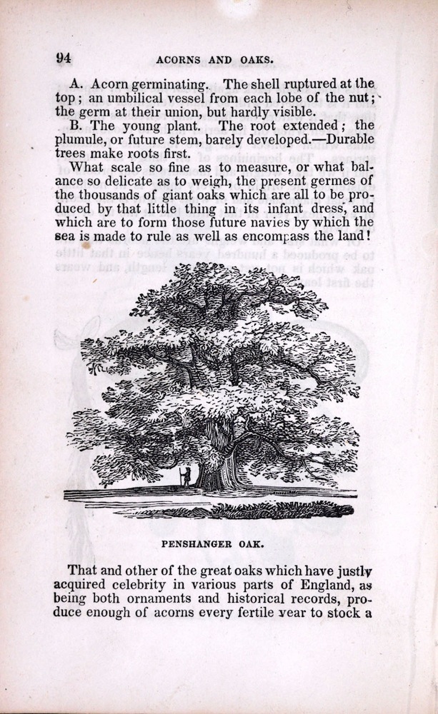 Popular guide, 1832