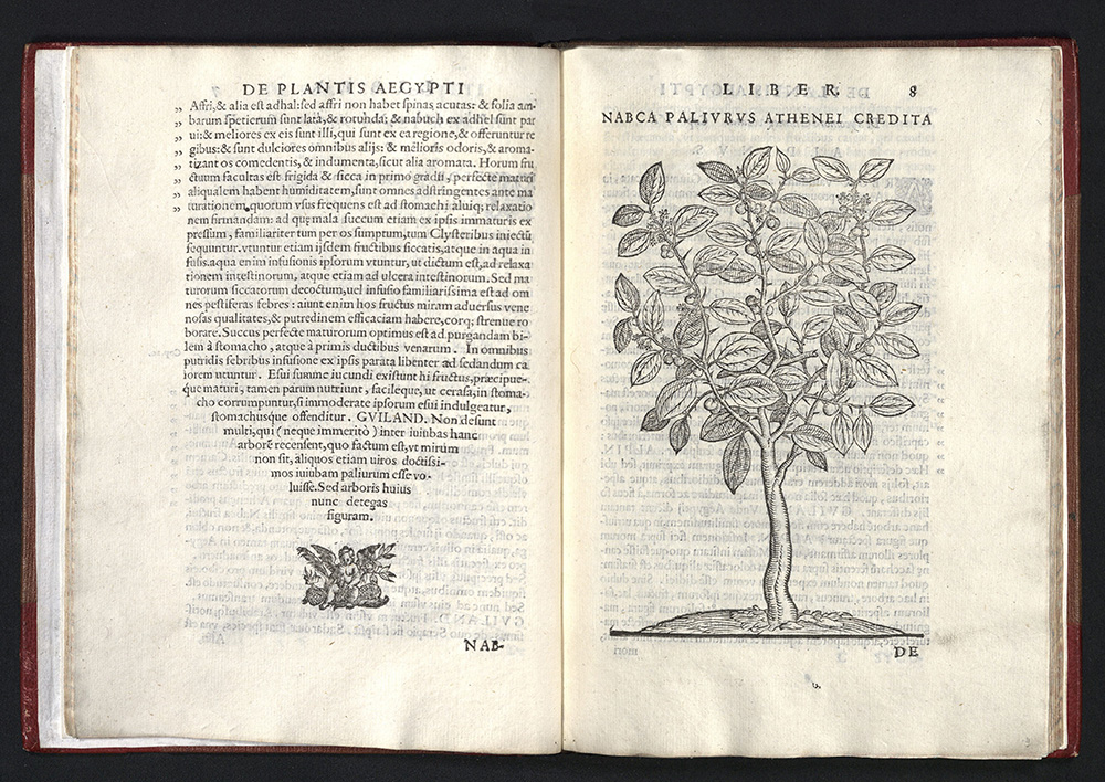 Spread of De Plantis Aegypti Liber