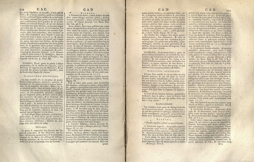Encyclopedie, 1783-1808