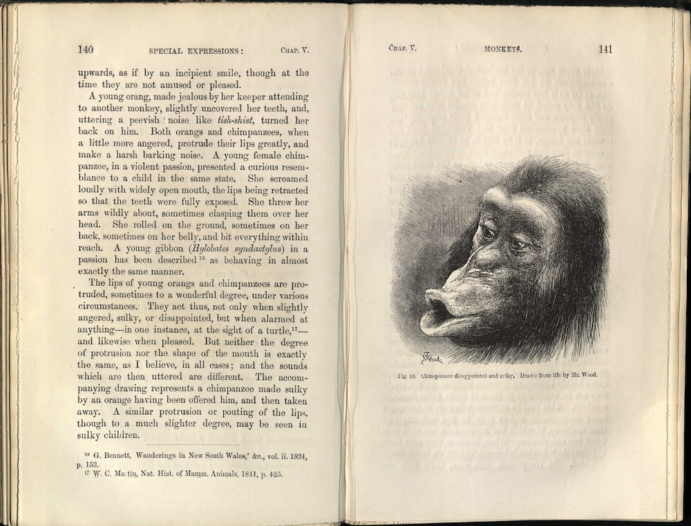 Darwin, The Expression of the Emotions in Man and Animals