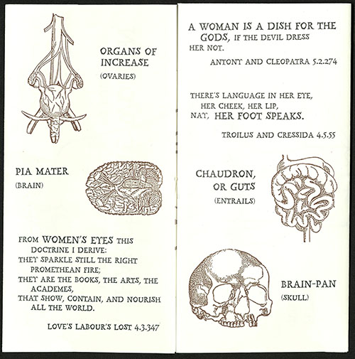 Angela Andres, Anatomy of a Shakespeare Man, 1990z