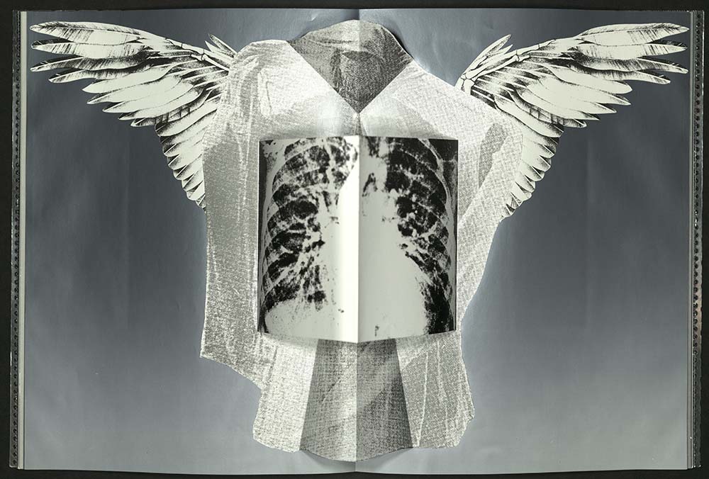 Toni Dove, Mesmer: Secrets of the Human Frame, 1993