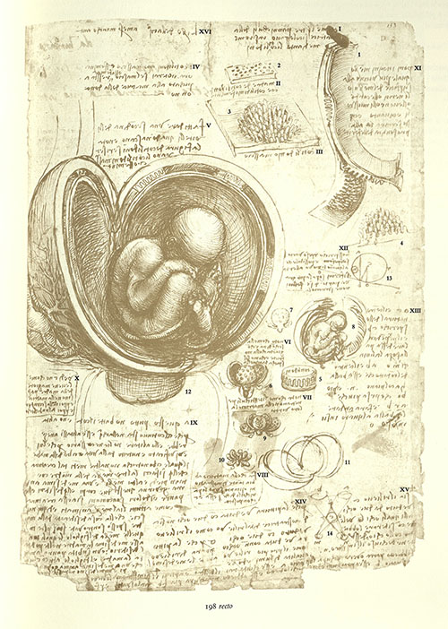 Leonardo da Vinci's Corpus of the anatomical studies in the collection of Her Majesty, the Queen, at Windsor Castle