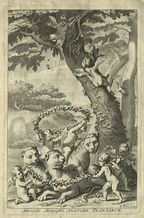 Malpighi's Opera Omnia, 1686