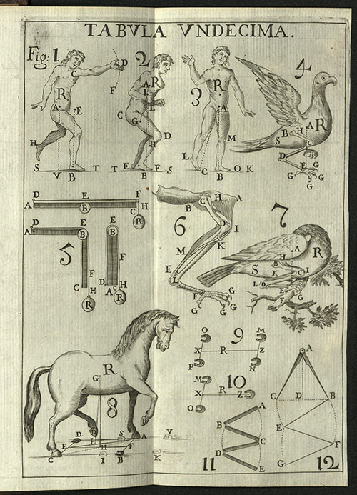 Borelli's De Motu Animalium