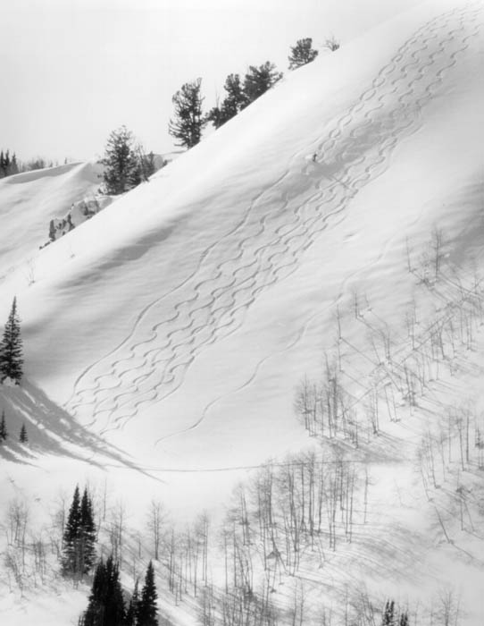 ski