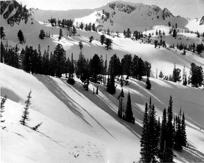 ski