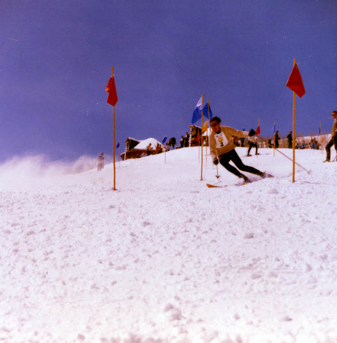 ski